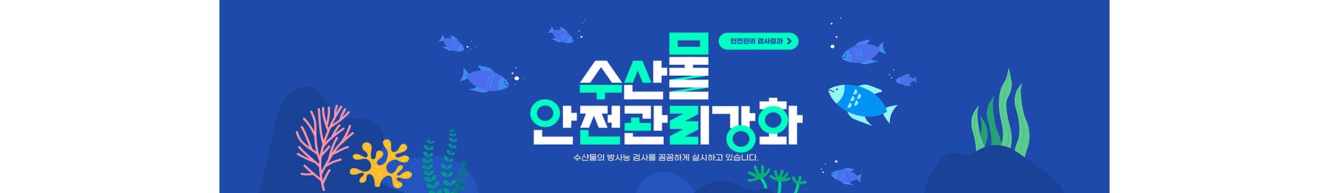 수산물안전관리강화 안전관리 검사결과 수산물의 방사능 검사를 꼼꼼하게 실시하고 있습니다.